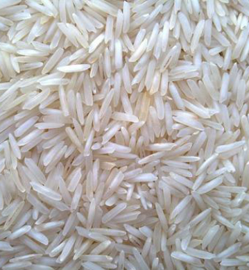 pusa rice
